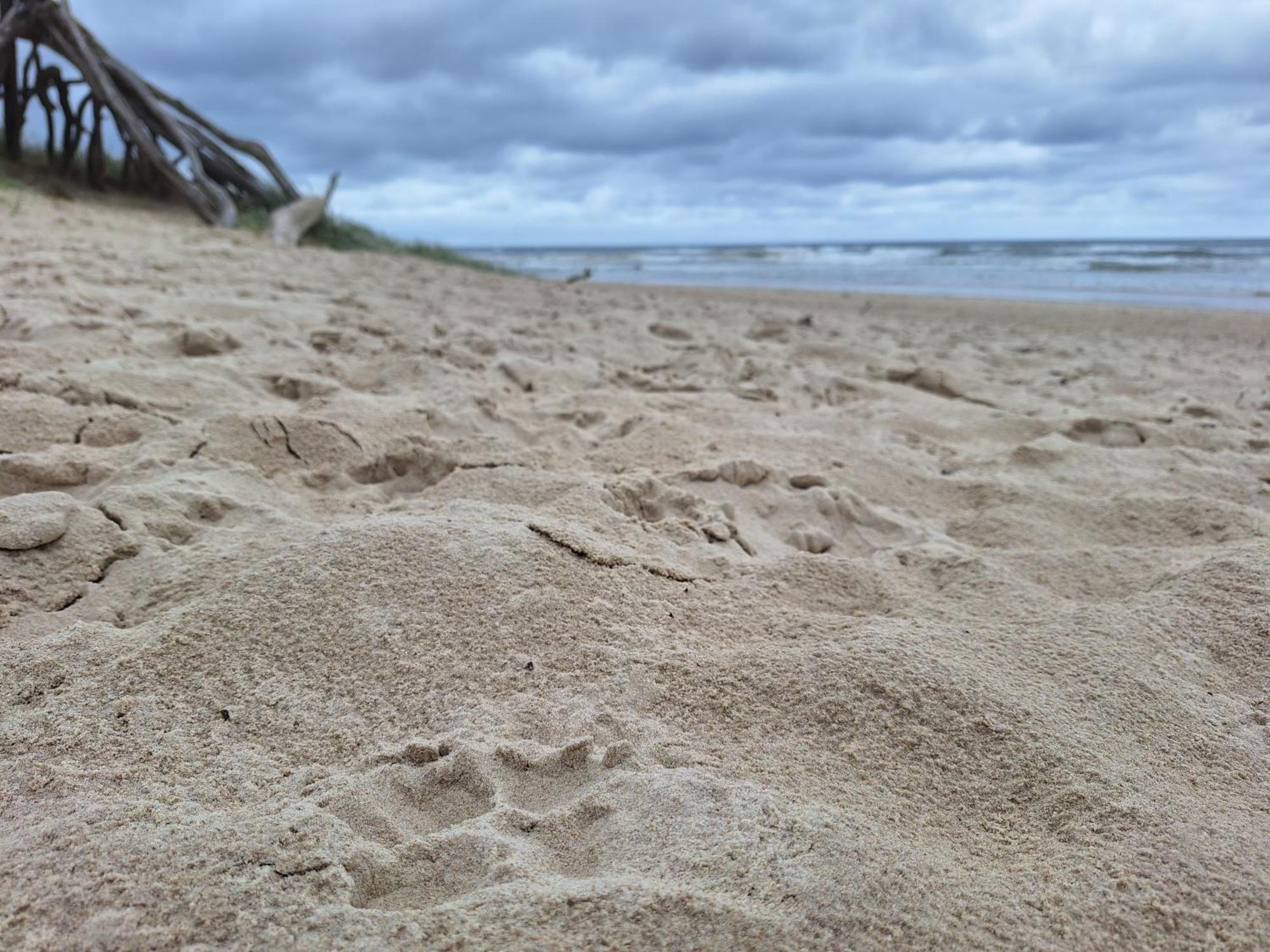 Ballina Beach Nature Resort Dış mekan fotoğraf