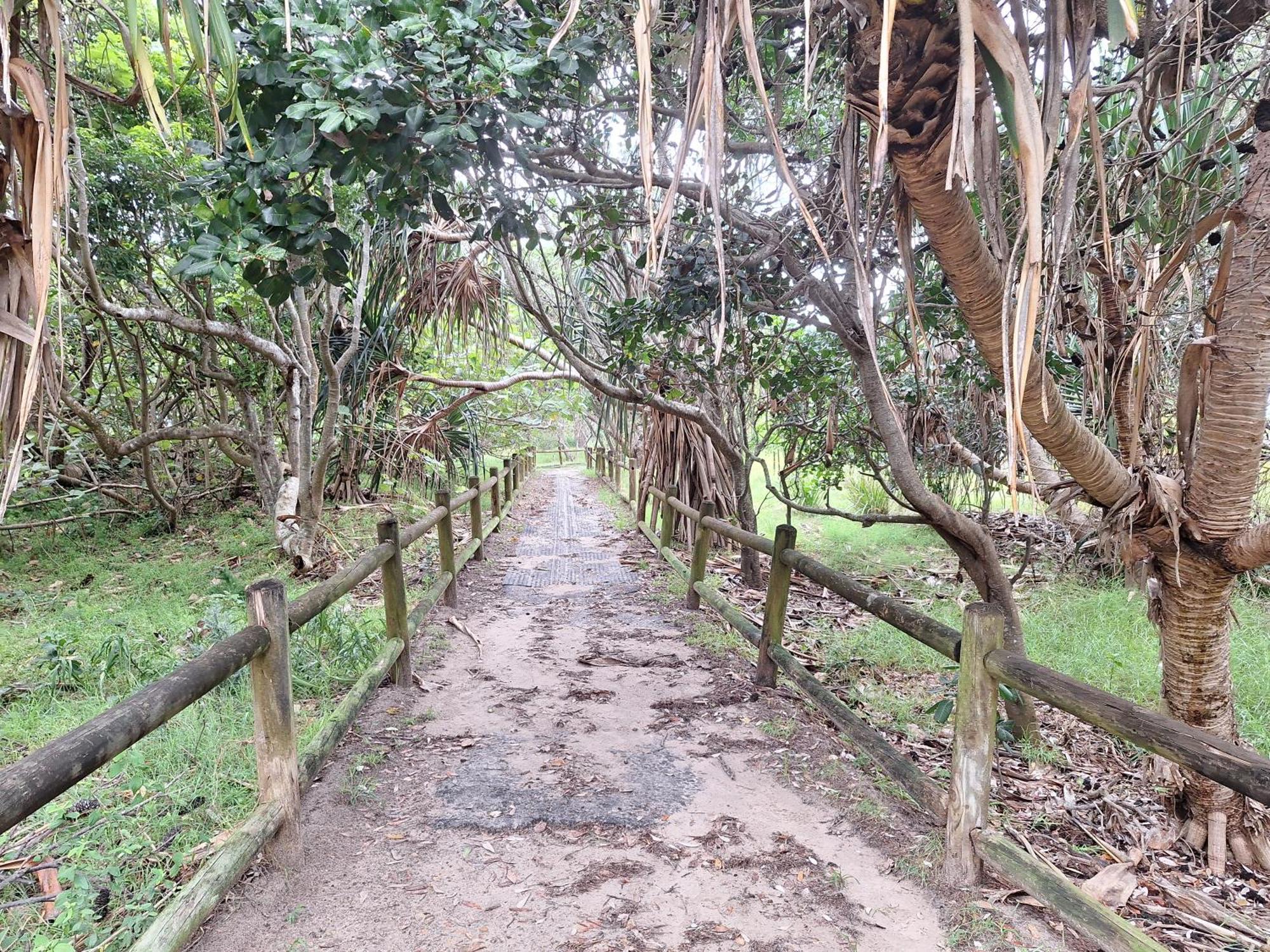 Ballina Beach Nature Resort Dış mekan fotoğraf